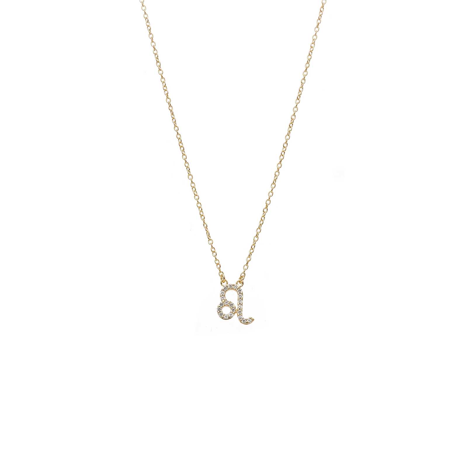 Silk & Steel Leo Necklace